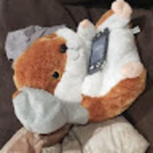 Meet your Posher, Stacy